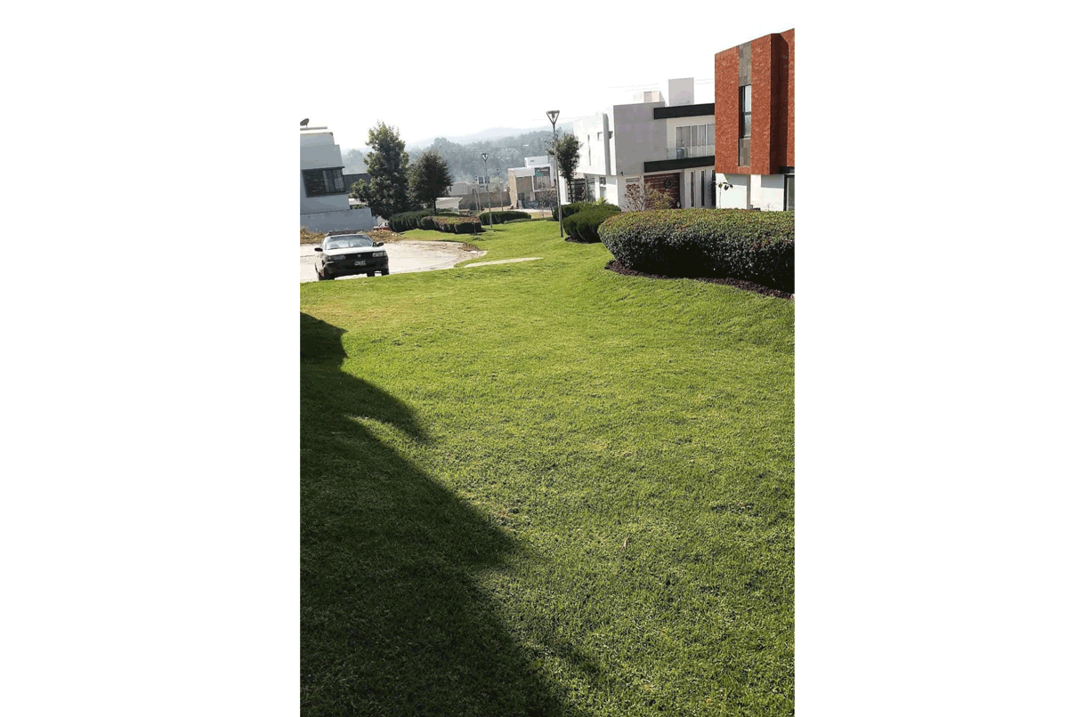 CAPITAL NORTE, COTO SIVEC